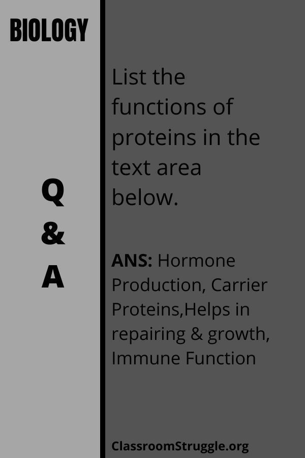 List the functions of proteins in the text area below.