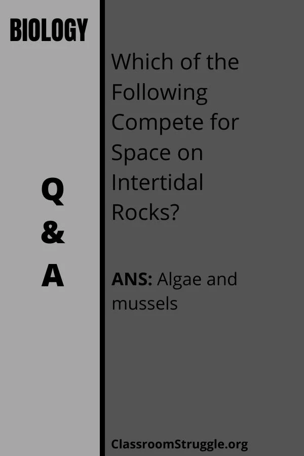 Which of the Following Compete for Space on Intertidal Rocks?