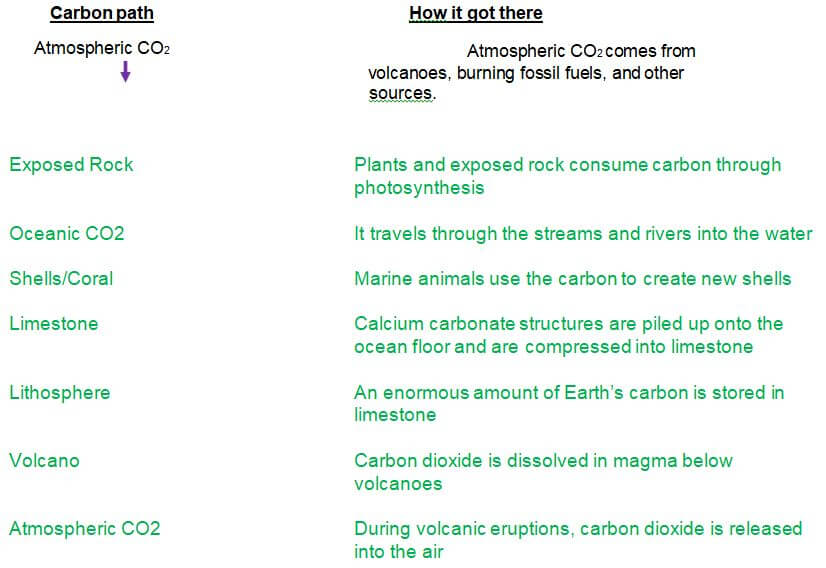Carbon Cycle Gizmo Answer Key 2021 Free Unlocks Inside