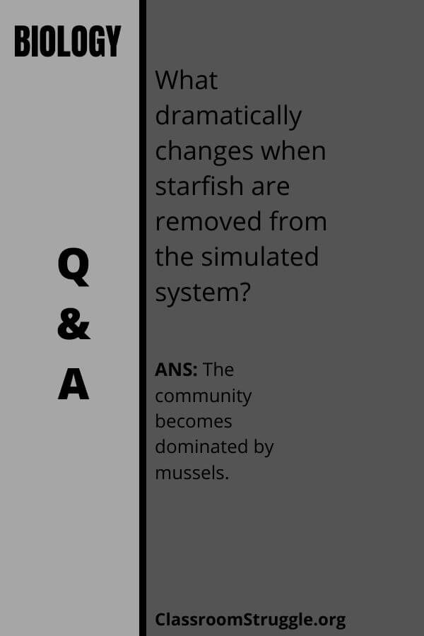 What dramatically changes when starfish are removed from the simulated system?